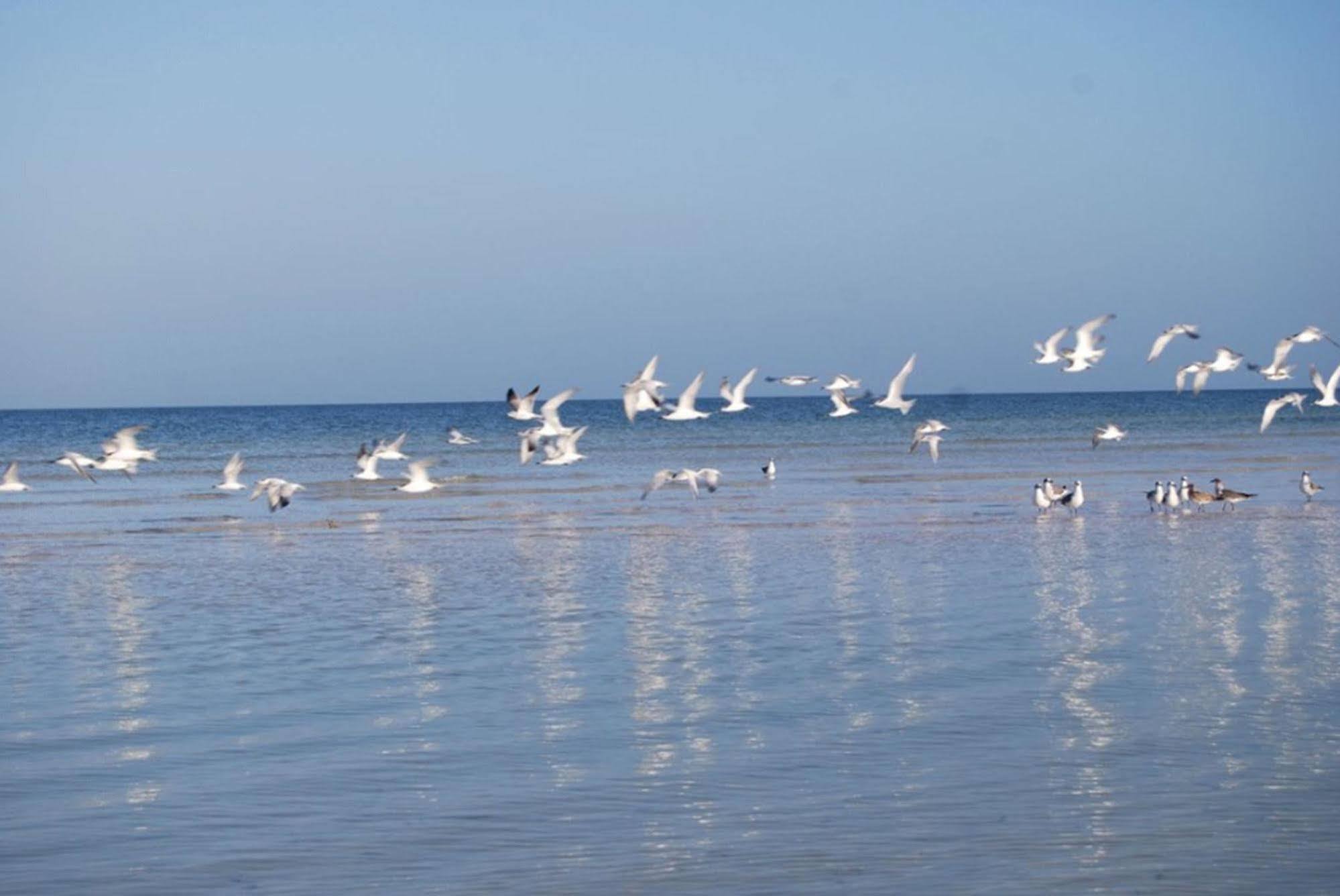 Golden Paradise Beach Ilha Holbox Exterior foto
